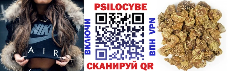 Псилоцибиновые грибы мухоморы  Купить закладки  Славгород 